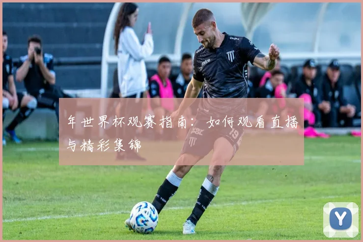 年世界杯观赛指南：如何观看直播与精彩集锦