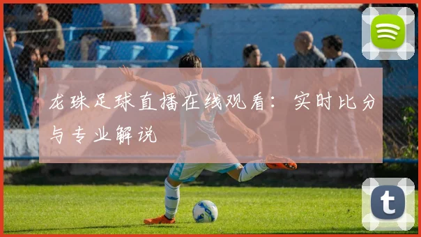 龙珠足球直播在线观看：实时比分与专业解说