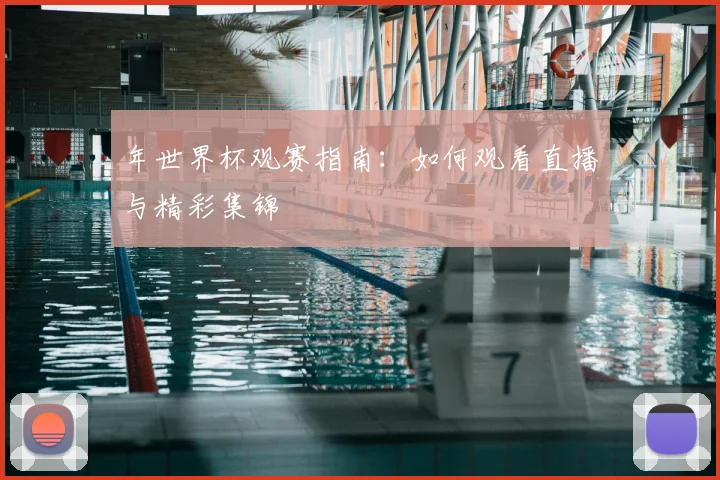 年世界杯观赛指南：如何观看直播与精彩集锦